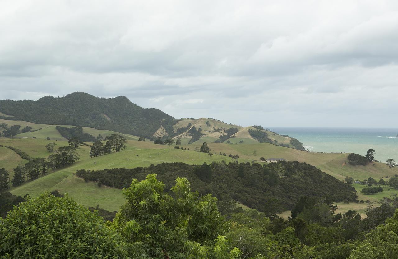 Ocean View B&B Whitianga Exterior photo